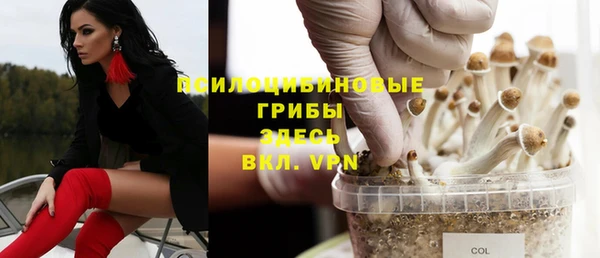 мяу мяу мука Арсеньев