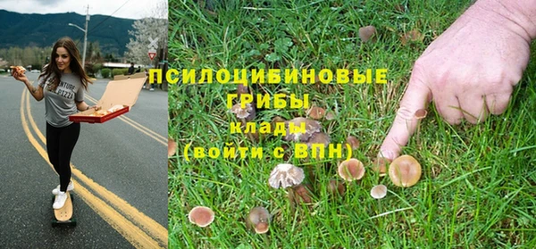 винт Аркадак