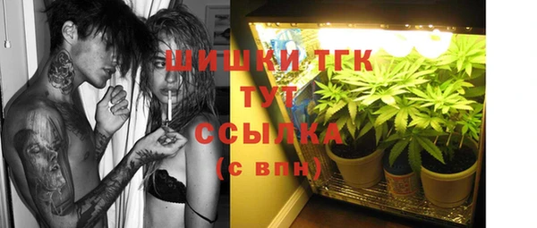 винт Аркадак